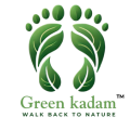 Green Kadam